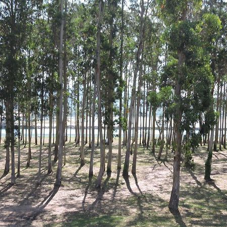 וילאביצ'יוסה Apartamento Pie De Playa, El Puntal-Villaviciosa מראה חיצוני תמונה